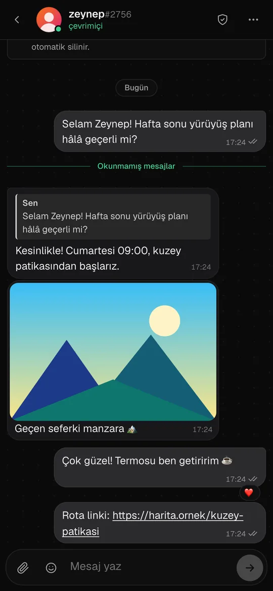 A MeshChat conversation